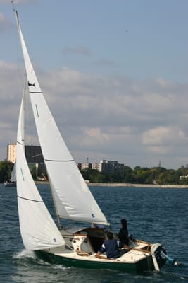 IMG_2893.JPG
