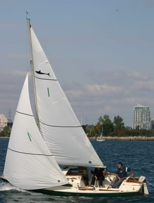 IMG_2901.JPG