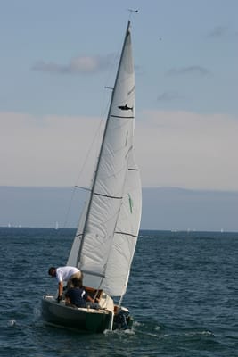 IMG_2905.JPG