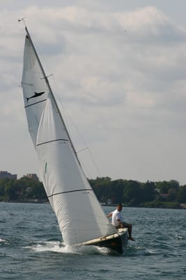 IMG_2931.JPG