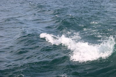 IMG_2938.JPG