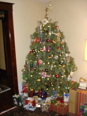 DSC05118.JPG