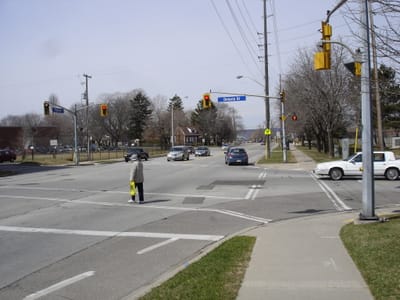 A-009 N on Maple.JPG