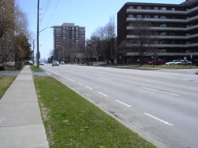 A-010 S on Maple.JPG