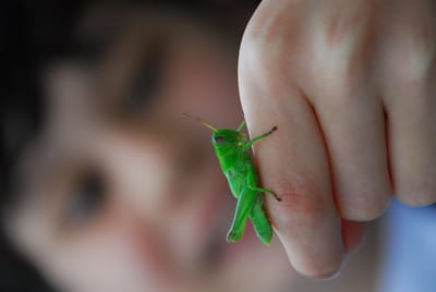 DSC_5362.JPG
