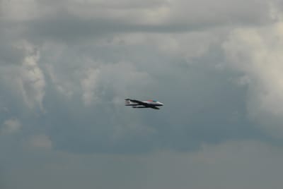 DSC_4397.JPG