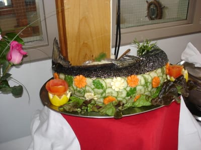 A018 The Salmon.JPG