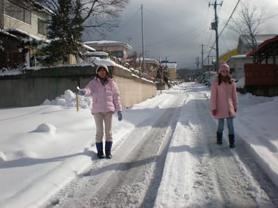 A087 HiromiNanami1Jan2009.jpg
