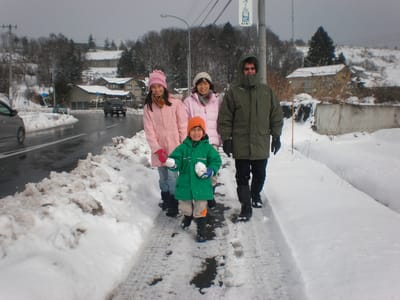 A091 Walking1Jan2009a.jpg