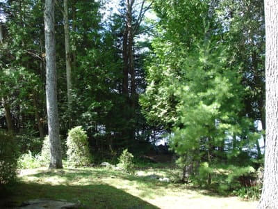 A038.JPG