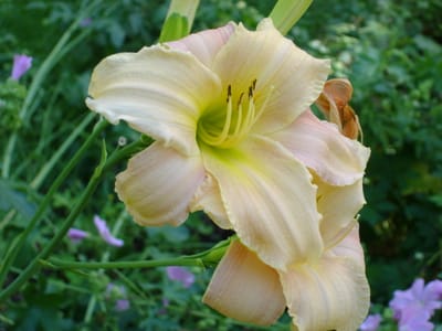 A040.JPG