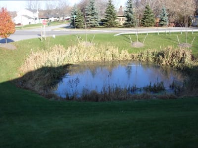 A133 Pond beside house.JPG
