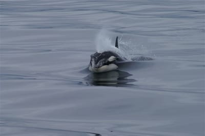 A015 Laing trip 2009.JPG