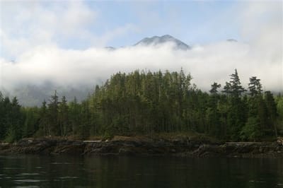 A022.JPG