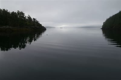 A026.JPG