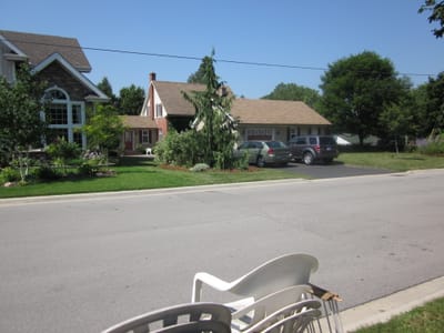 Ann's pics 015.jpg