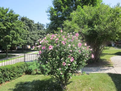 Ann's pics 018.jpg