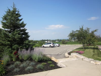 Ann's pics 021.jpg