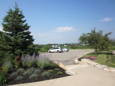 Ann's pics 022.jpg