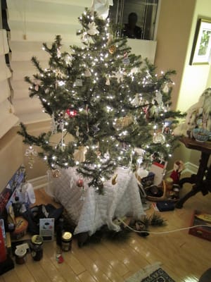 A035 Tree.jpg