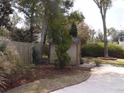 new tree 2 10.JPG