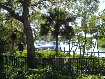 A010 305 thru the trees.JPG