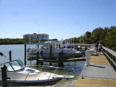 A015.JPG