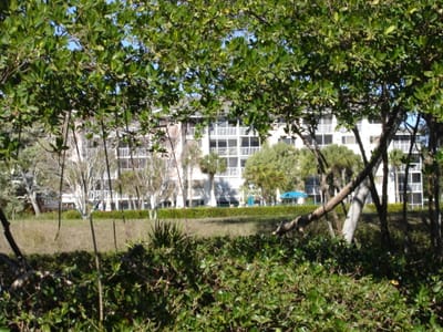 A017 Thru the trees 2.JPG