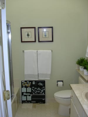 A076 Guest Bath.JPG