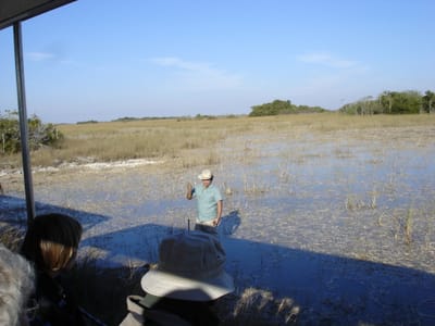 A135 River of Everglades.JPG