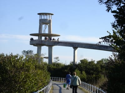A141 Lookout.JPG