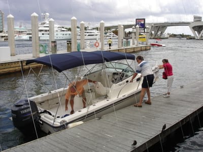 A157 Hep docking.JPG