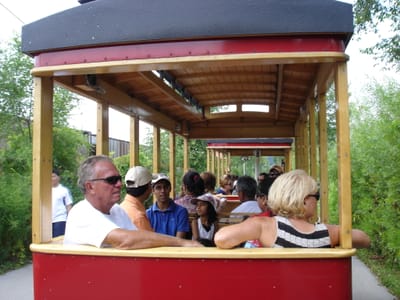 A004 Tram in front.JPG