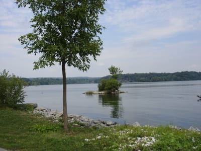 A005 Harbour.JPG