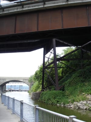 A009 Cut to Cootes Paradise.JPG