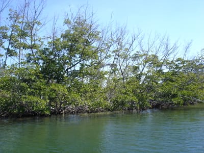 A116 Entrance to beach.JPG