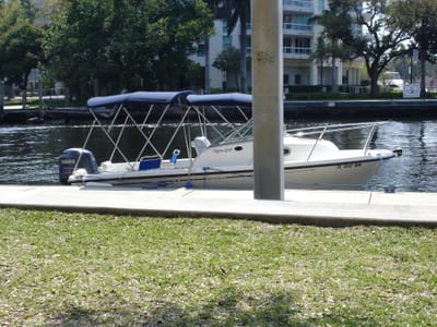 A137 Natty Girl on new dock.JPG