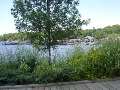 DSC06018.JPG