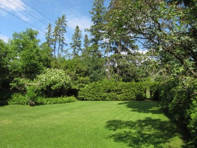 A014 Back yard.jpg