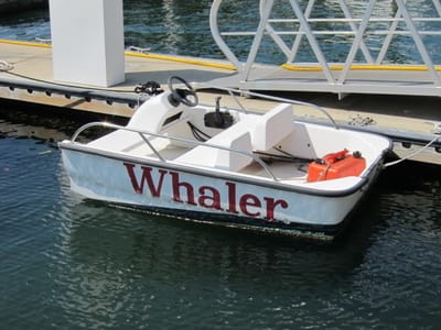 A048 Erikas day on water.jpg