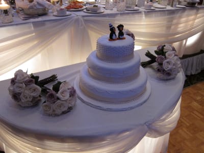 A042 The Cake.jpg