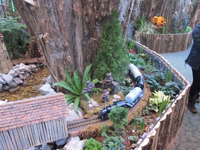 A010 Model Train Exhibit.JPG