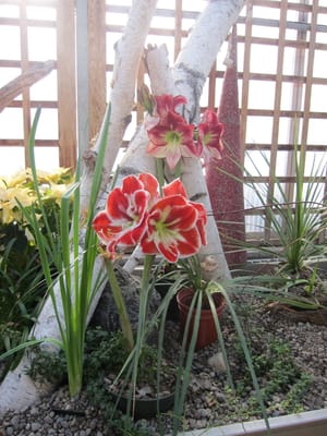 A027.JPG