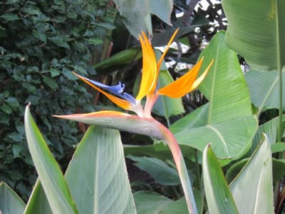 A034.JPG