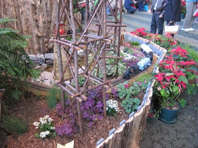 IMG_3808.JPG