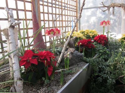 IMG_3813.JPG