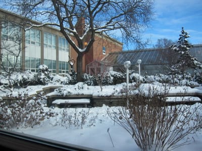 IMG_3833.JPG