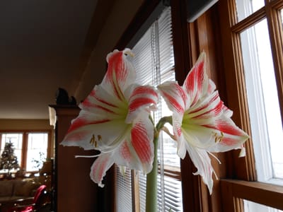 DSCN0016.JPG