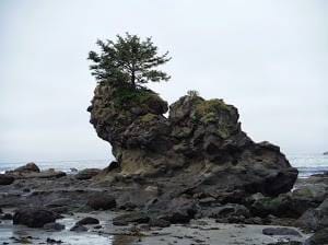 1512586_10152104521499909_898210379_n.jpg