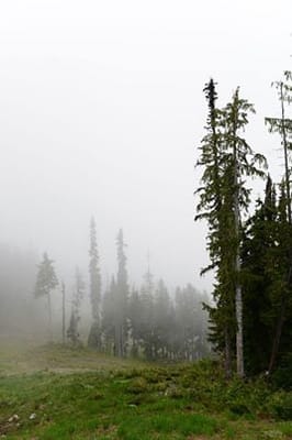 1013080_10151701062845409_897952090_n.jpg